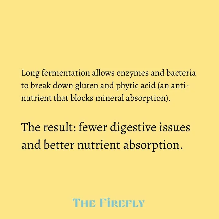 Discussion on the benefits of long fermentation for breaking down gluten and improving nutrient availability in sourdough.