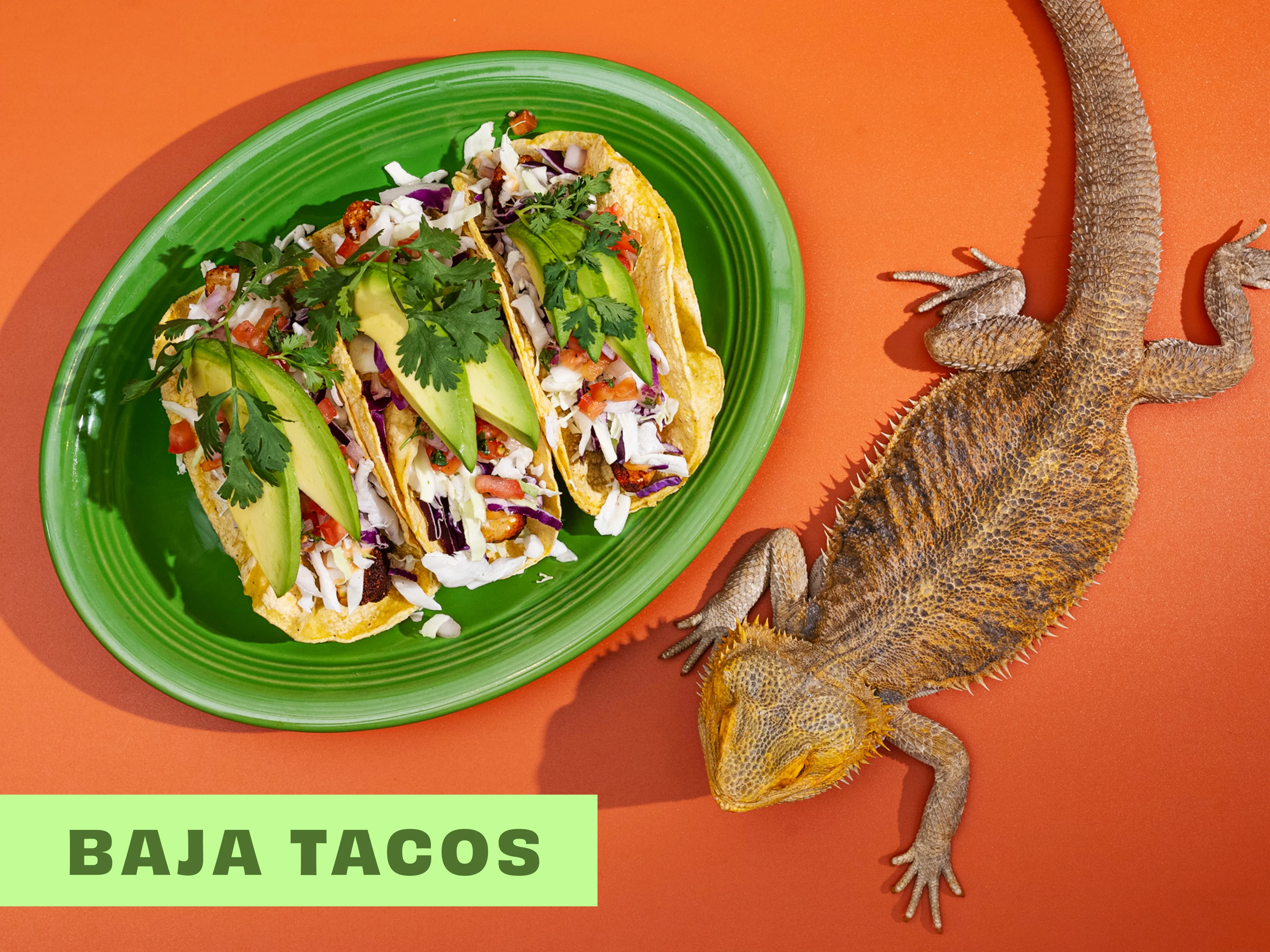 A plate of baja tacos filled with fresh vegetables and avocado, accompanied by a colorful backdrop.