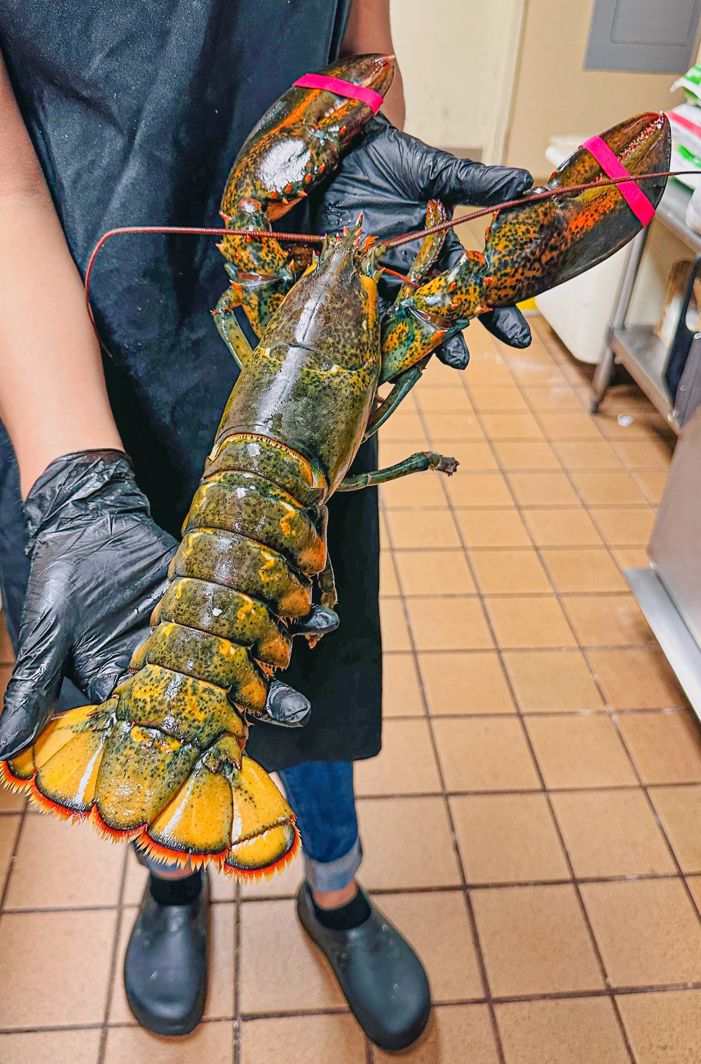 Wild cut lobsters at Irina's Steak & Seafood