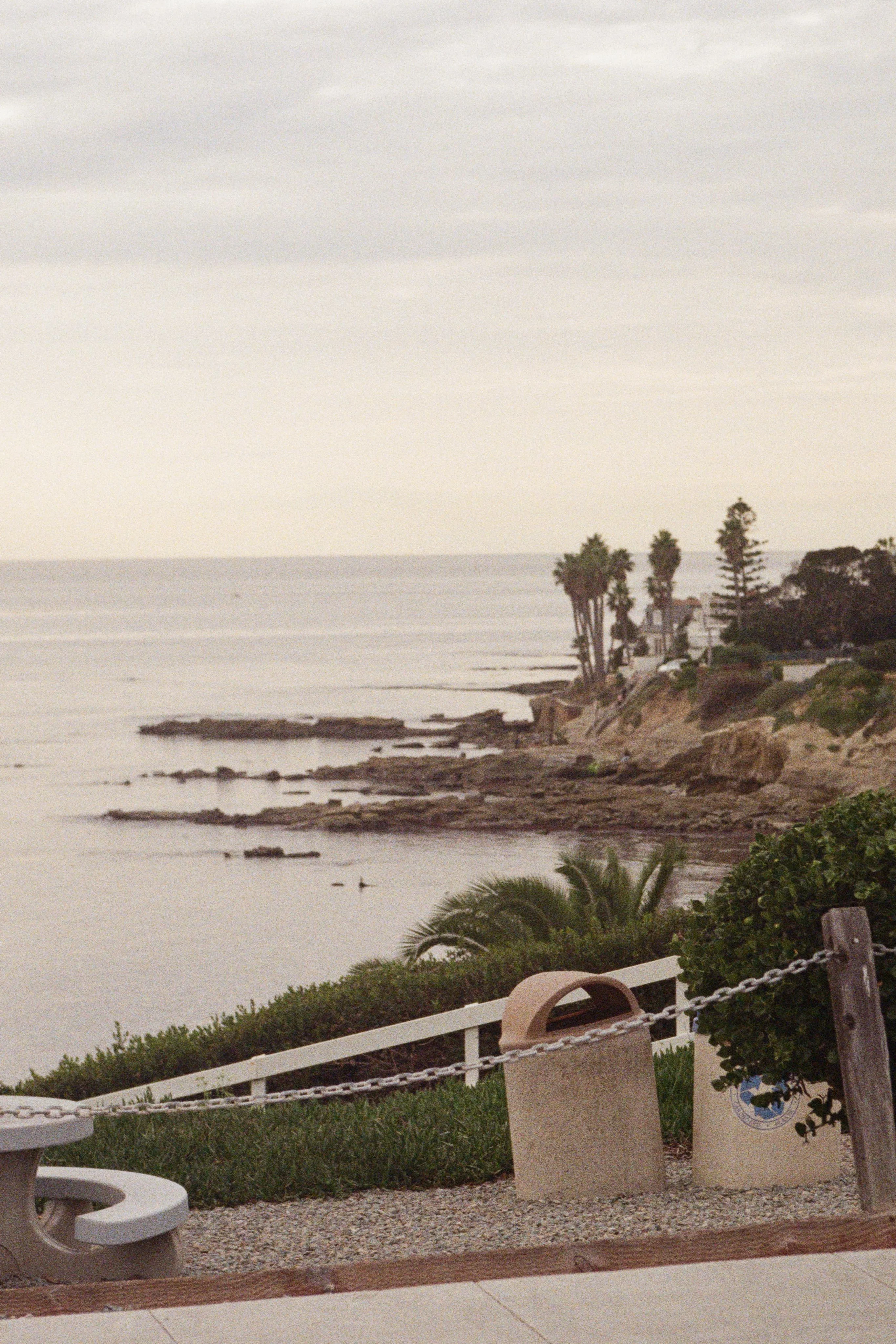 Scenic coastal view with palm trees and rocky shoreline