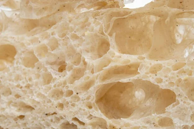 Close-up of porous texture resembling natural sponge