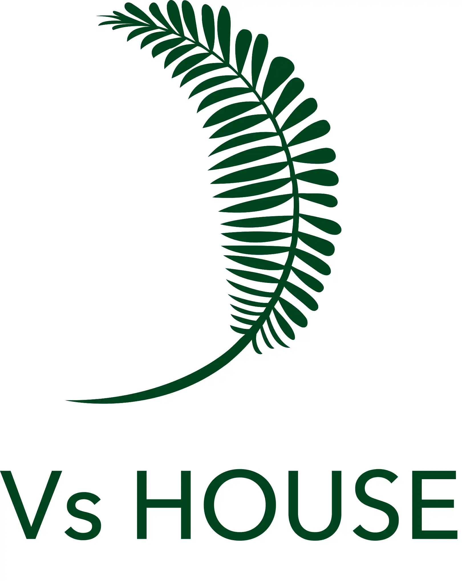 V's House