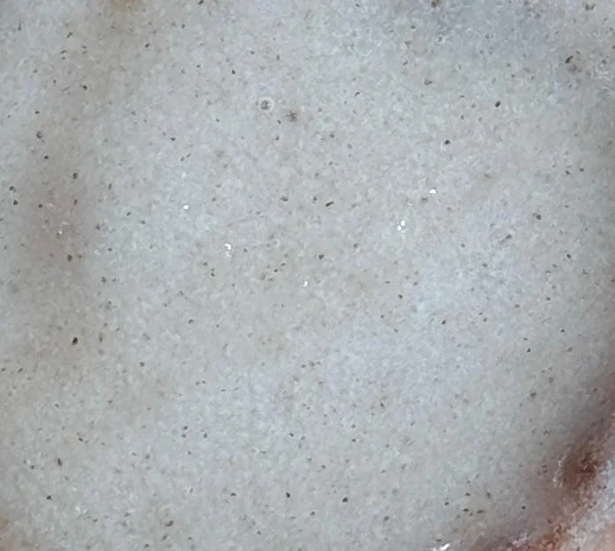 Sourdough Cinnamon Roll