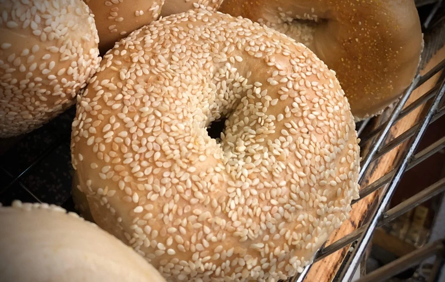 Freshly baked sesame bagel on a cooling rack
