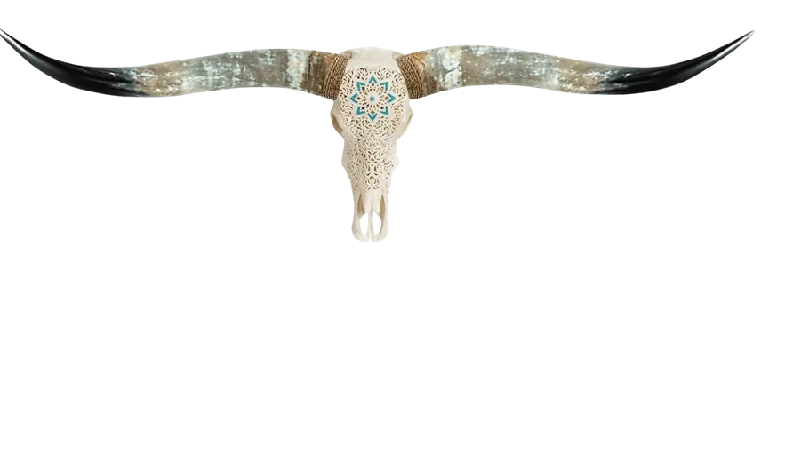 Long Horn Bull