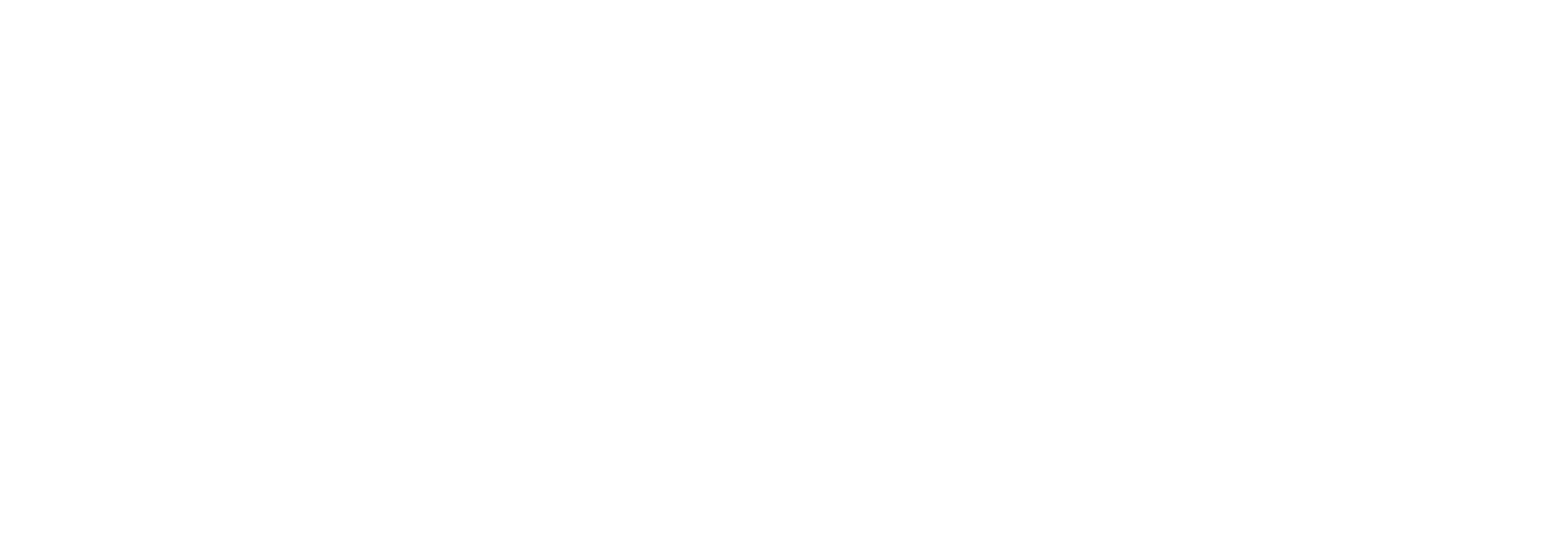 City Slice Pizza