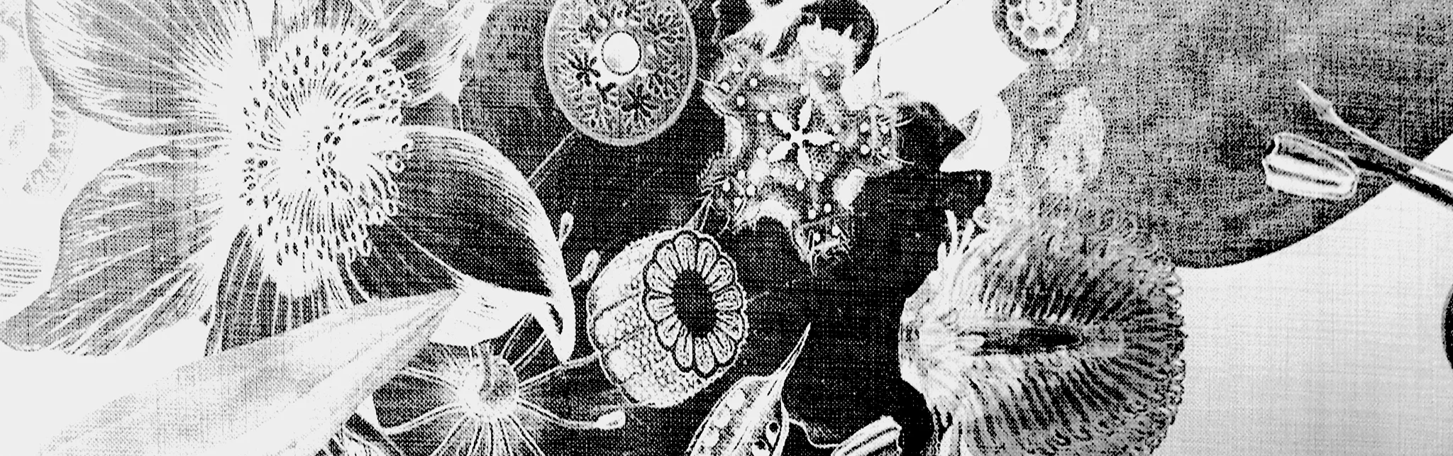 Artistic floral design with intricate patterns