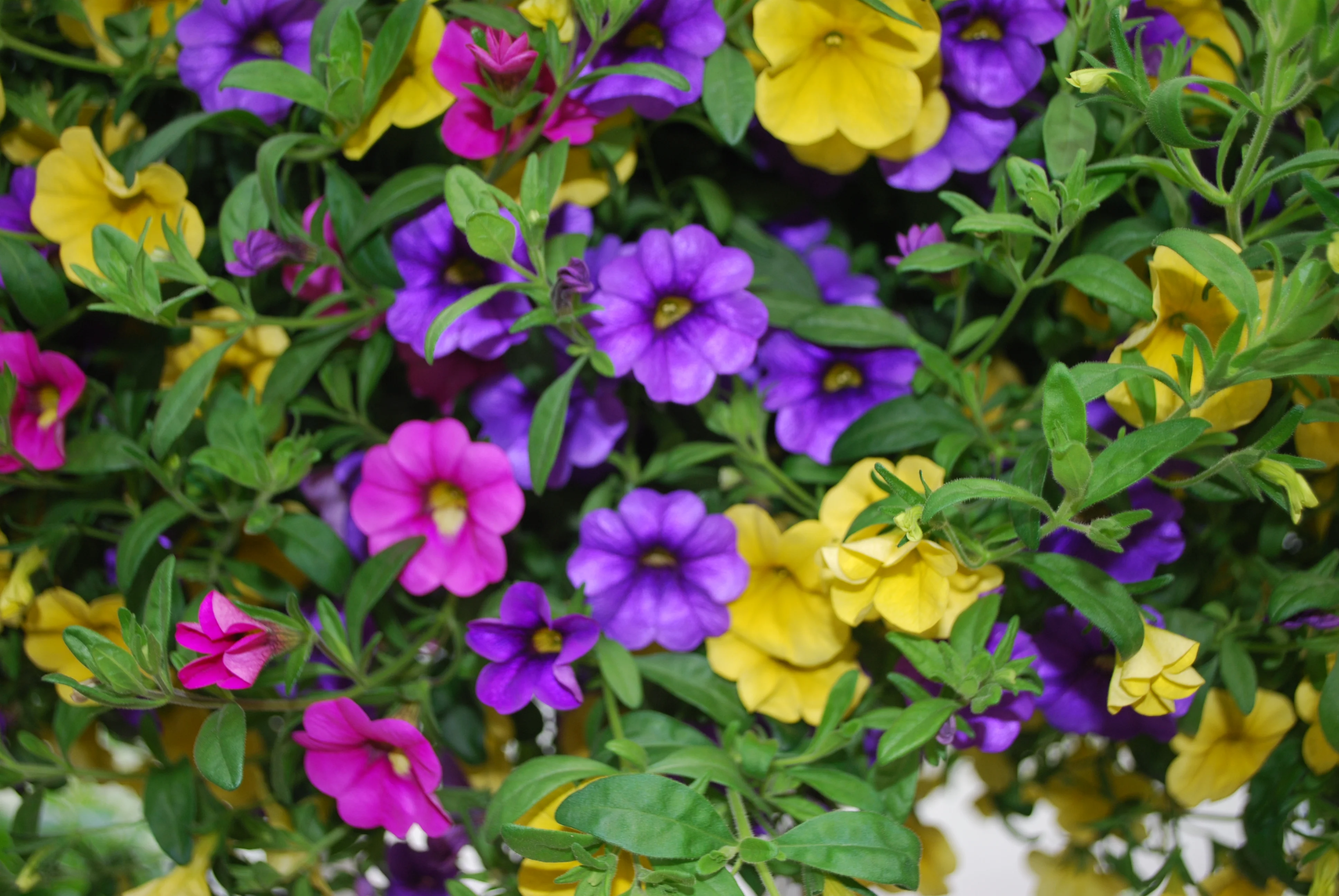 User-uploaded image