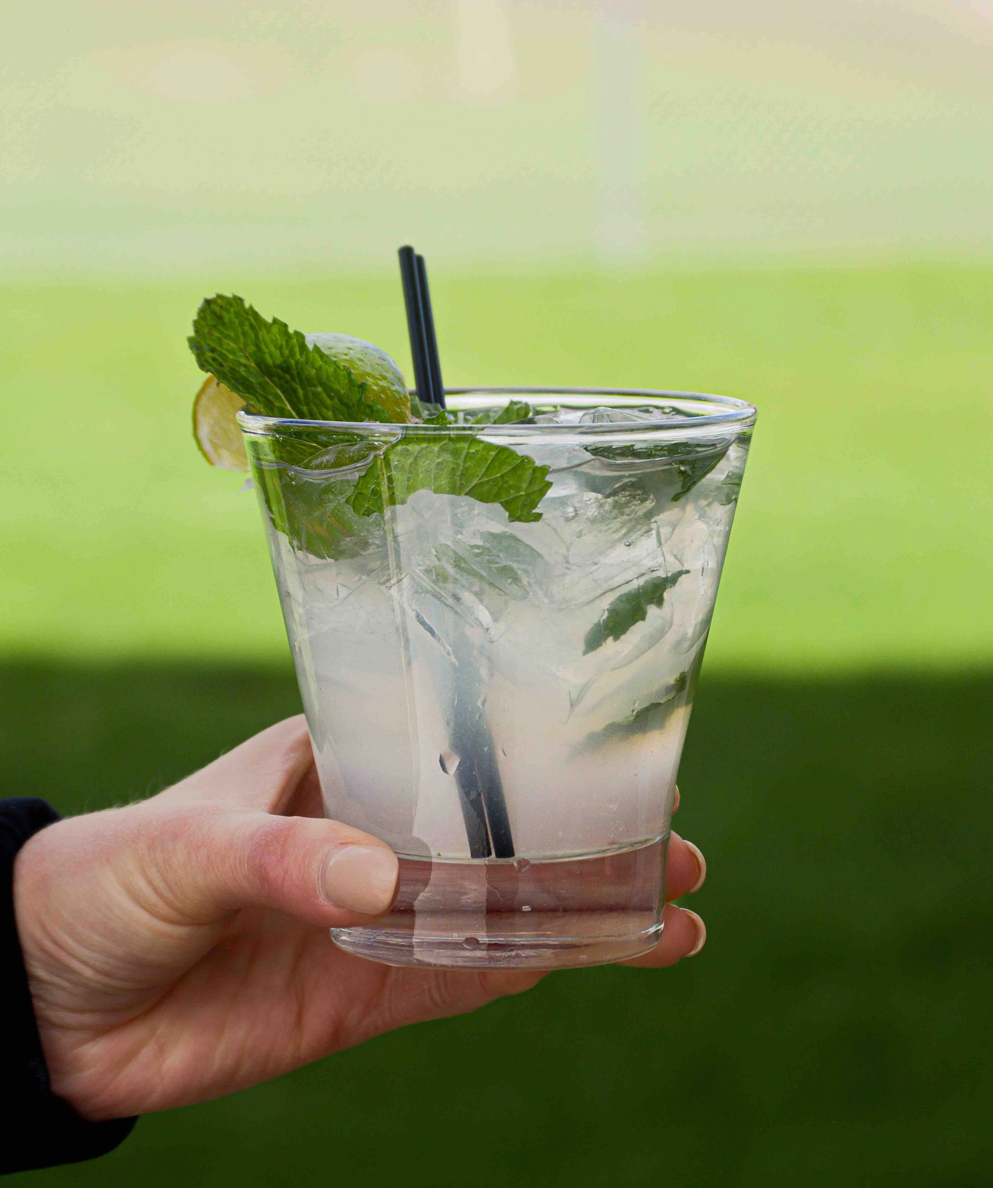 Wisco Mojito held outside in front of green grass
