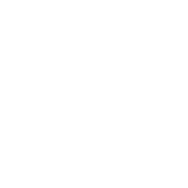 Ghost Town Coffee Roasters