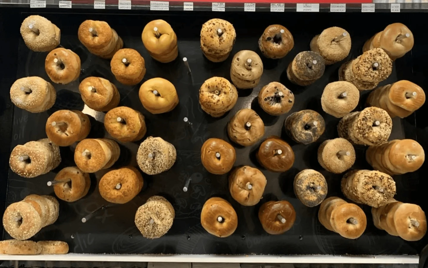 Bagel Plinko