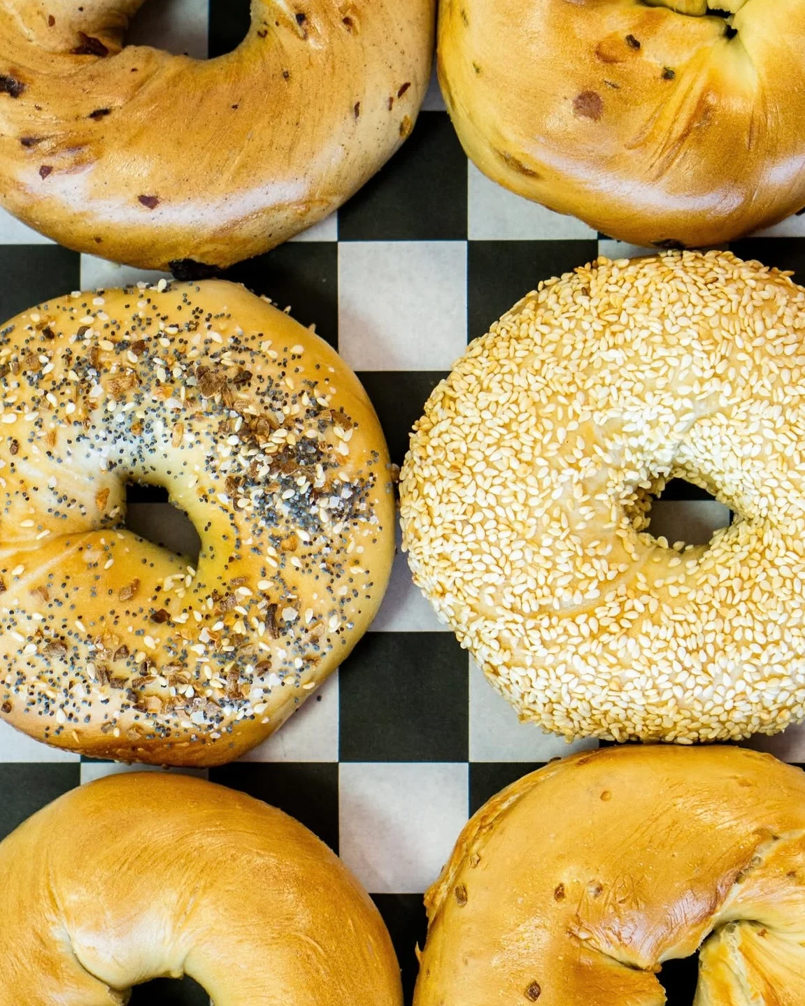 Assorted bagels on black and white checkered deli paper