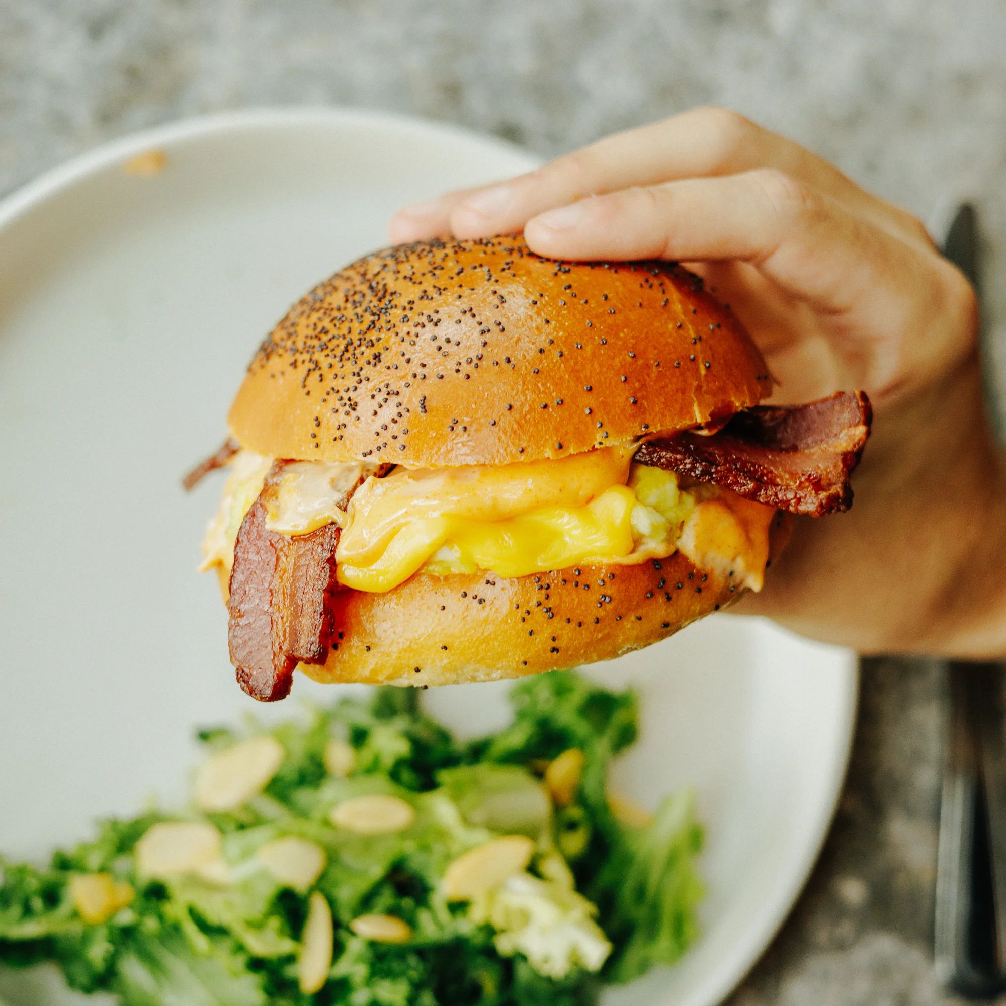 Breakfast sandwich with bacon and cheese on a poppy seed bun