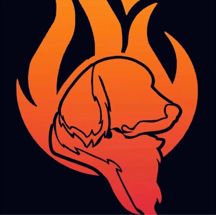 User-uploaded image