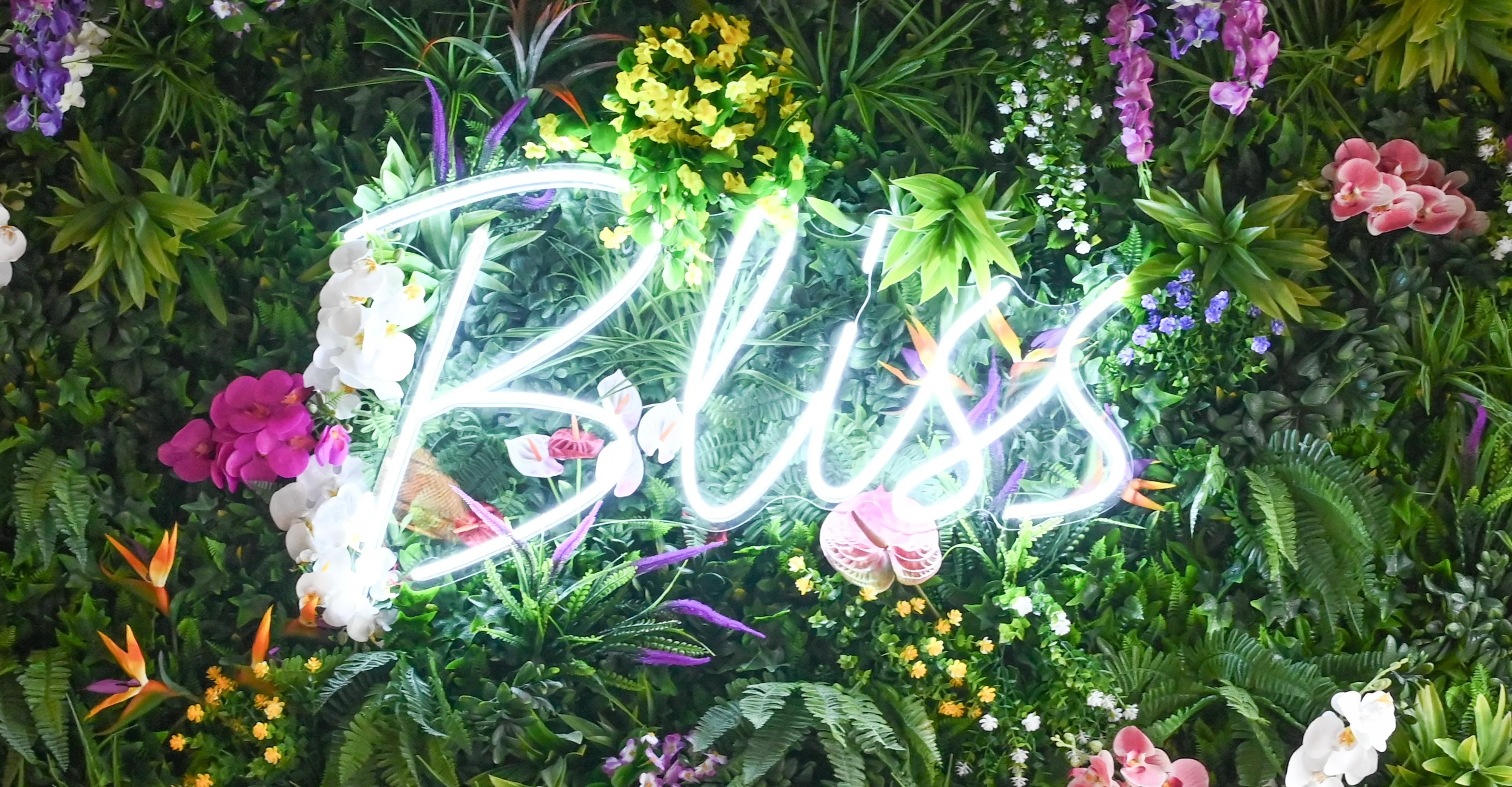 Neon sign reading 'Bliss' surrounded by vibrant floral decor