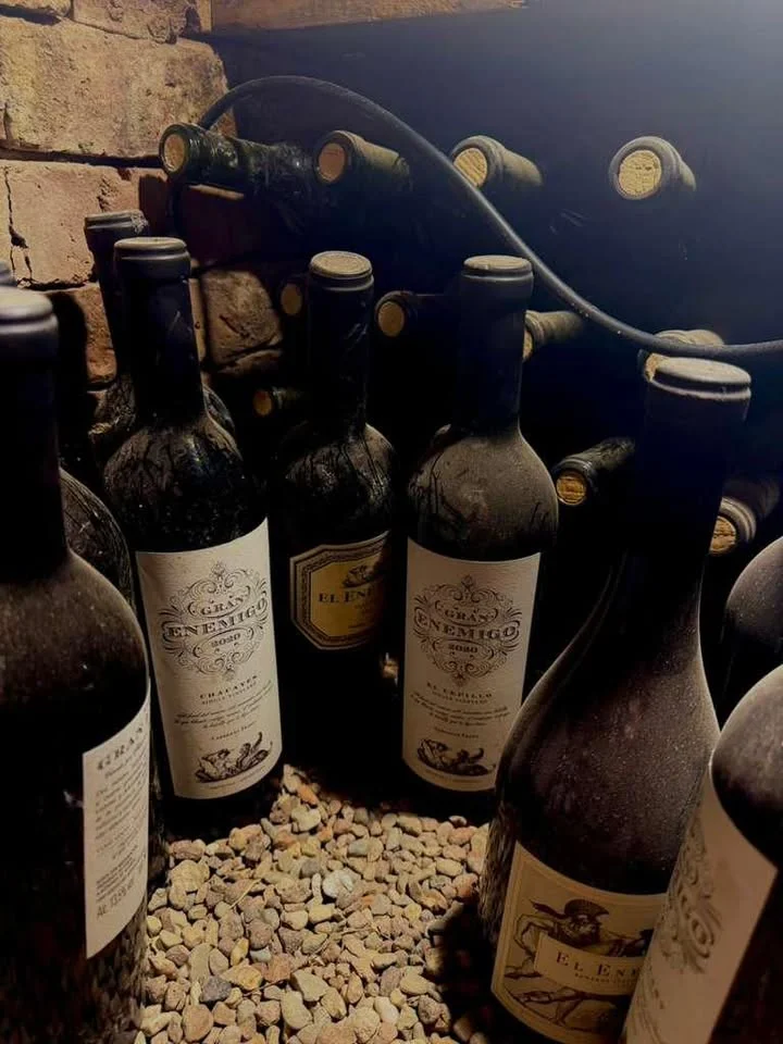Collection of fine wines in a rustic cellar