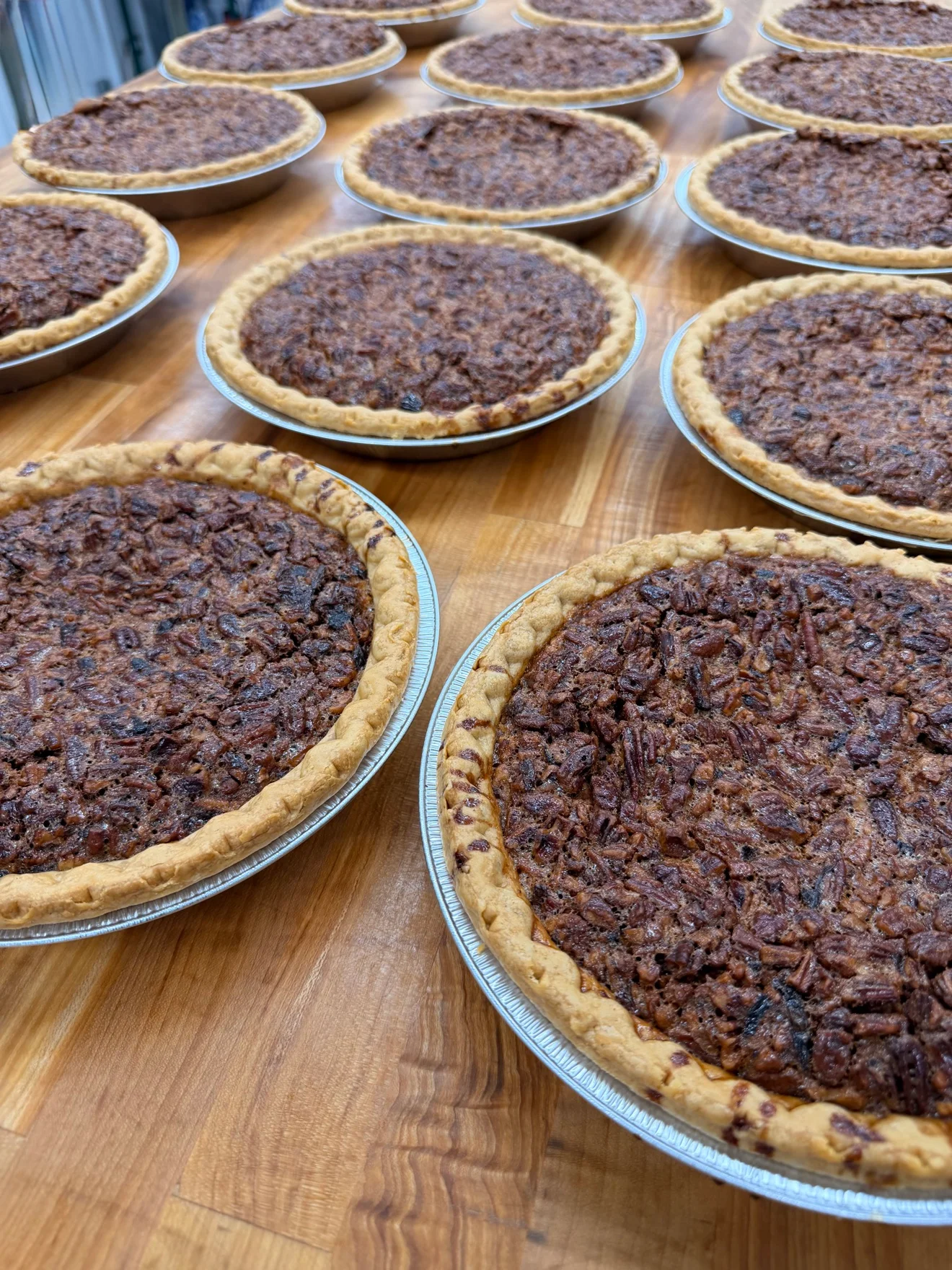 Fresh Southern pecan pies arranged on a bakery counter