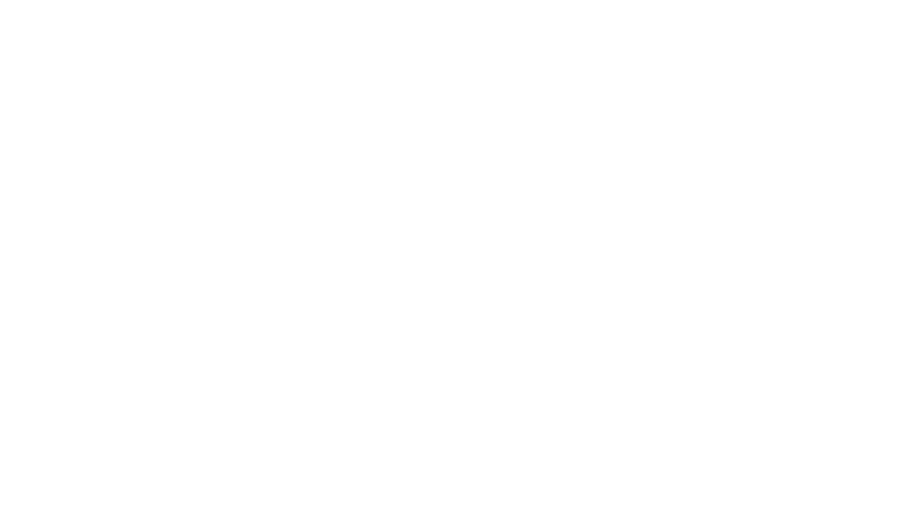 The Morning Riot