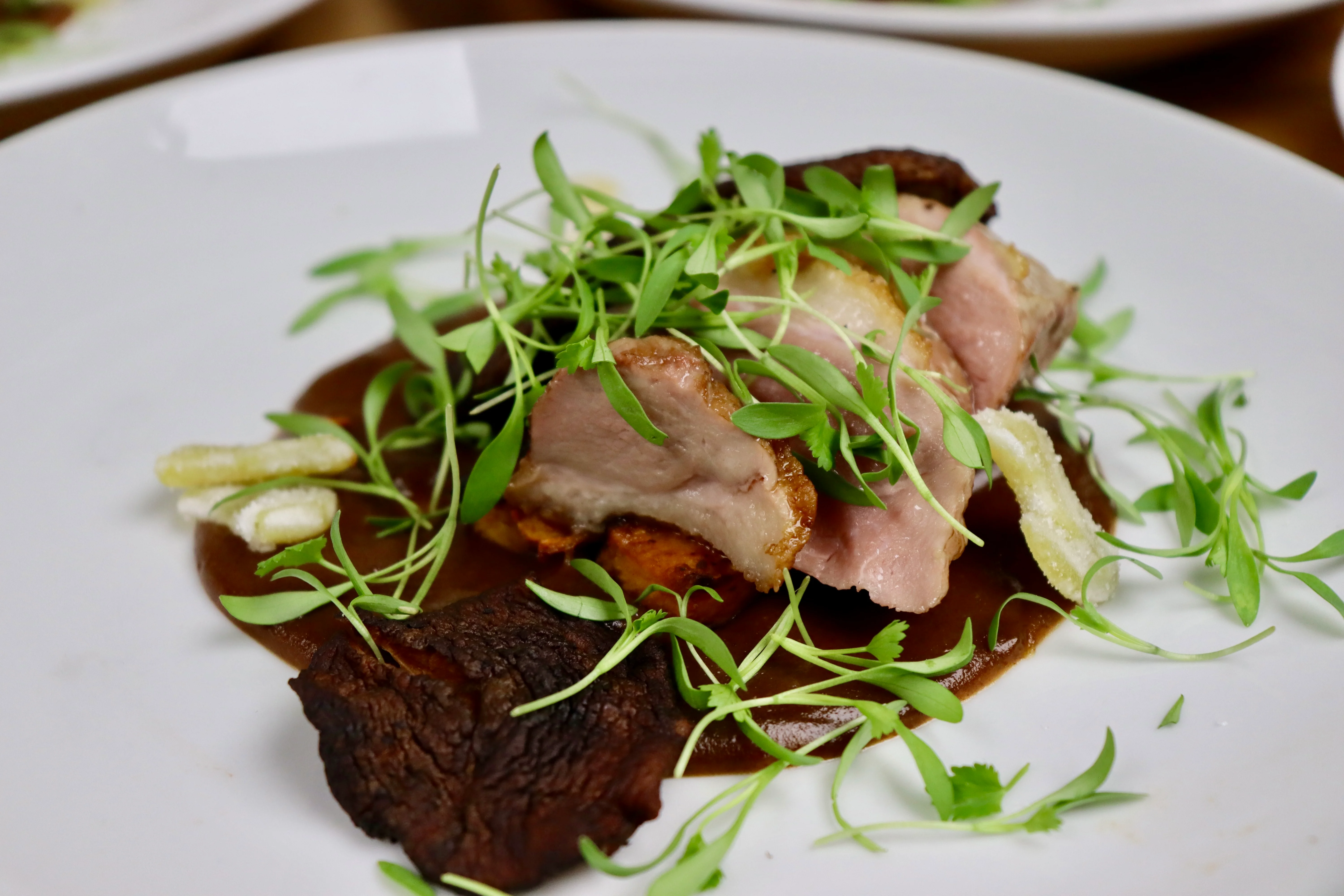 Plated duck breast with sauce and microgreens