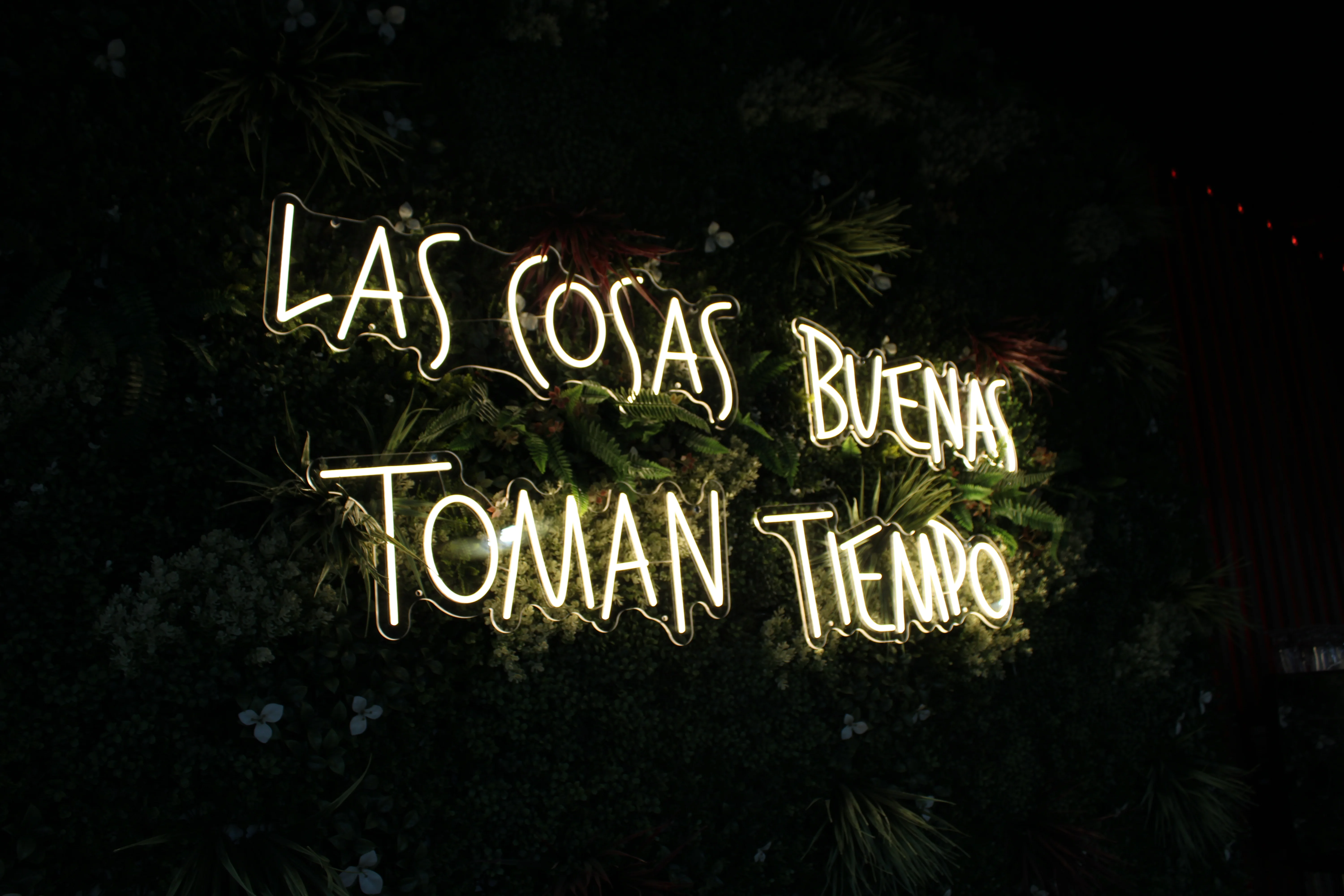 Neon sign reading 'Las cosas buenas toman tiempo' in a lush restaurant setting