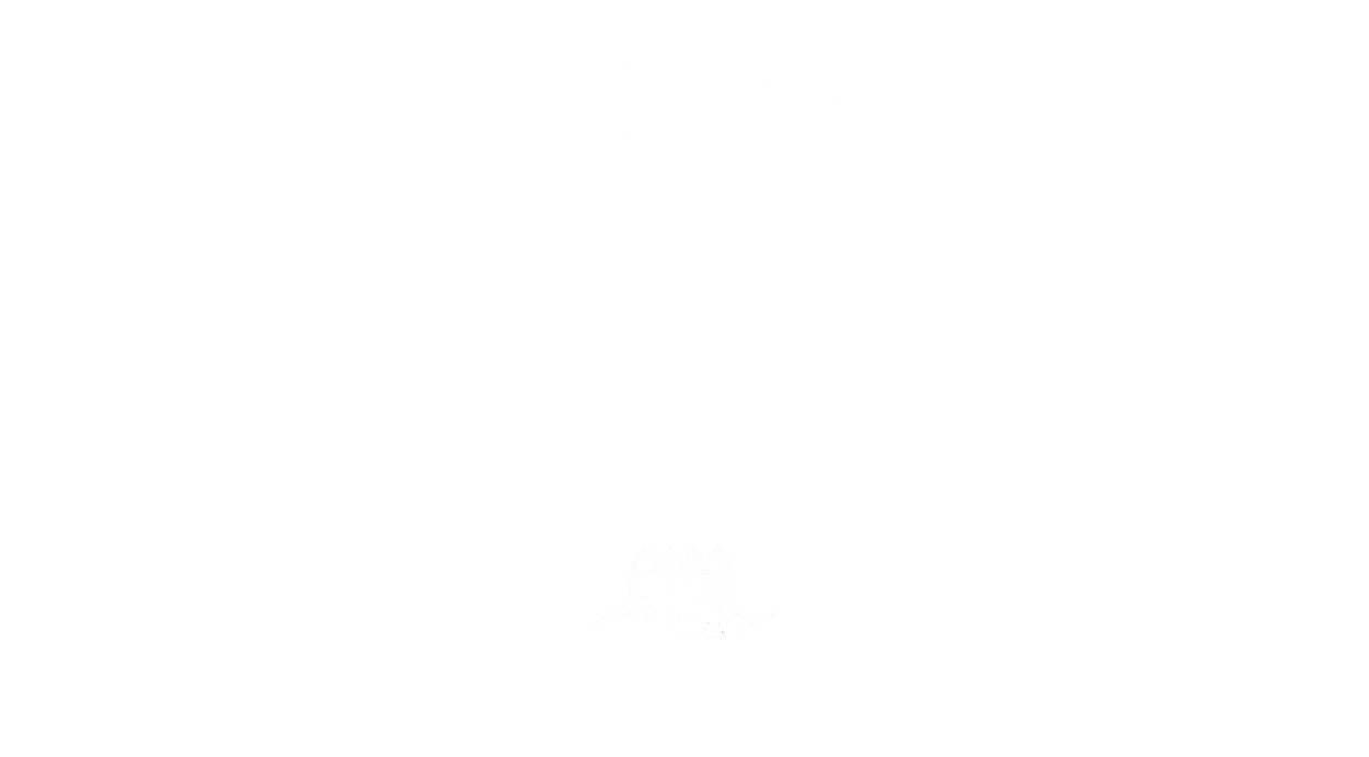 Cocktail menu featuring various drinks and ingredients.