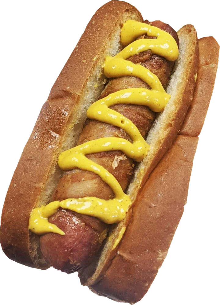 Plain Dog