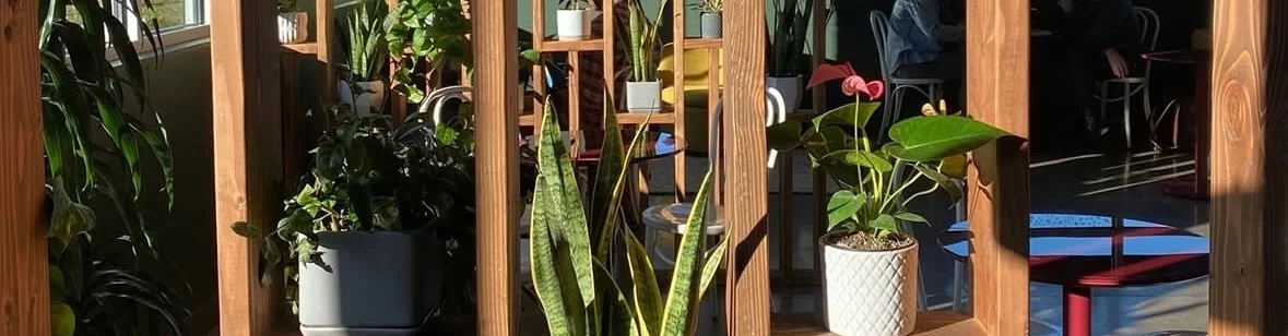 Modern restaurant interior with plants and wooden decor