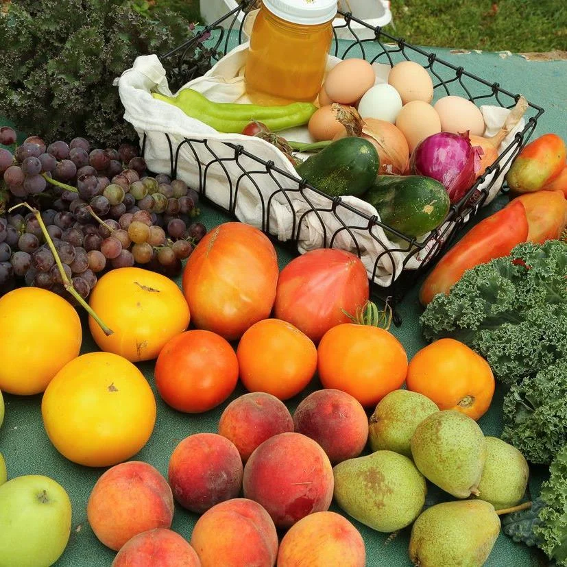 Fresh seasonal produce and eggs in a rustic basket