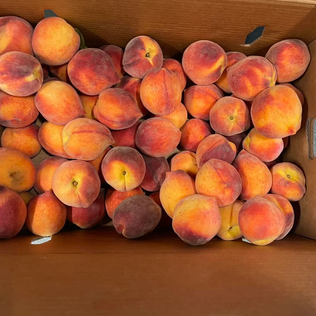 Freshly harvested peaches in a cardboard box