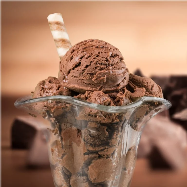 Rich chocolate ice cream served in a glass dish