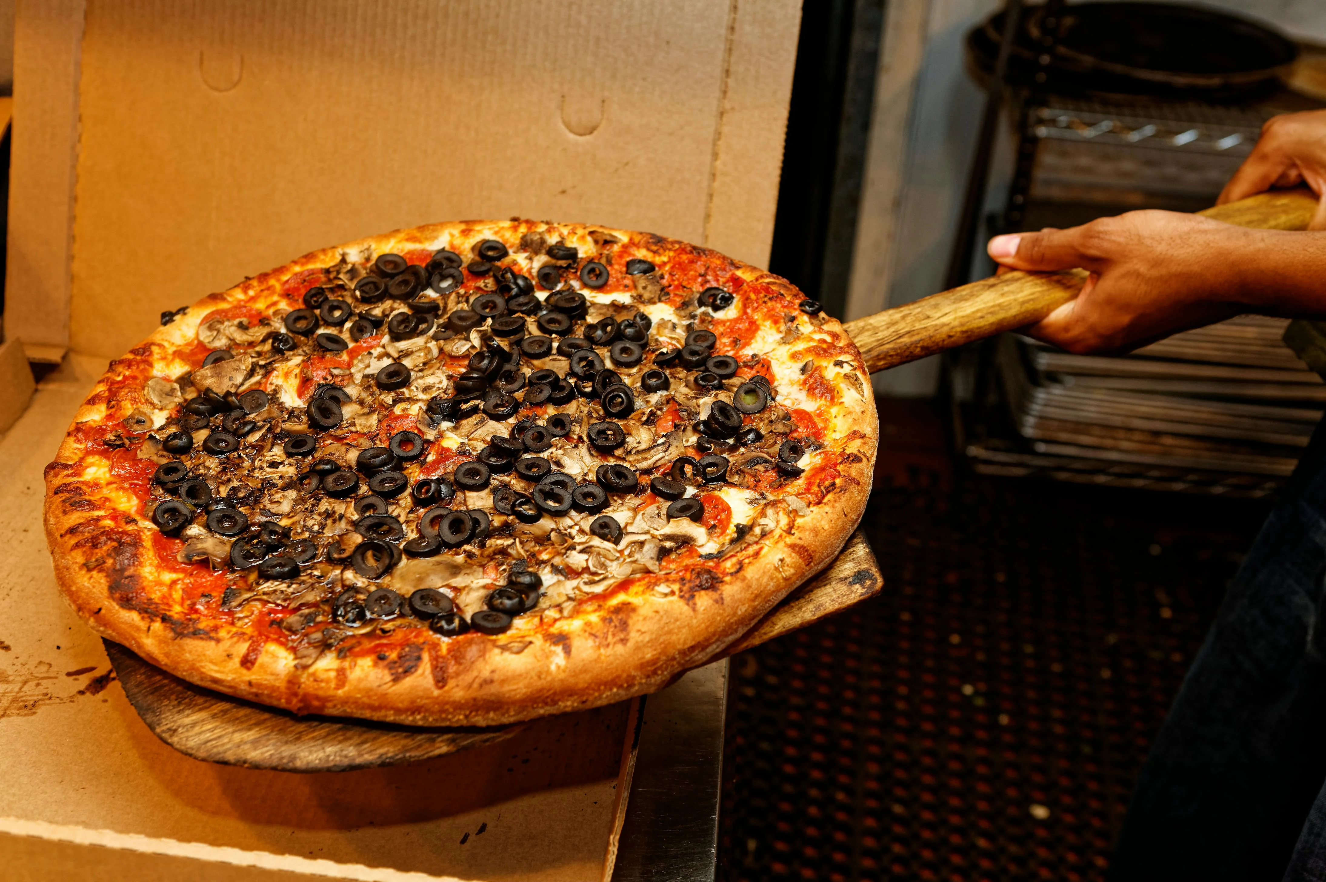 Freshly baked pizza with black olives and mushrooms