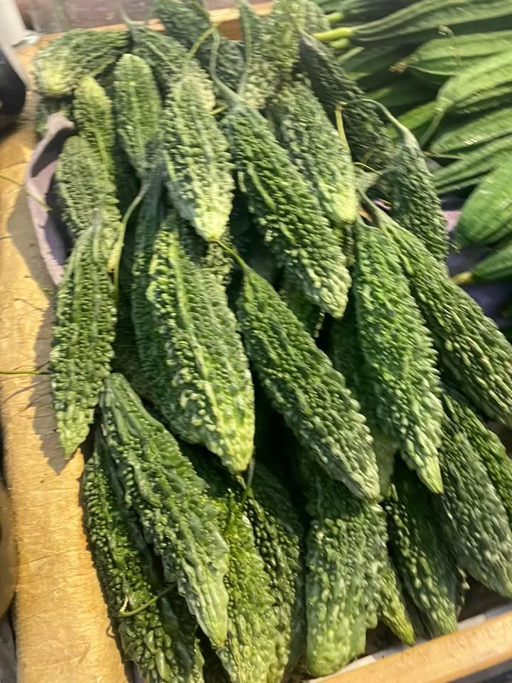A close-up view of a pile of bitter melons, characterized by their distinctive bumpy texture and vibrant green color.
