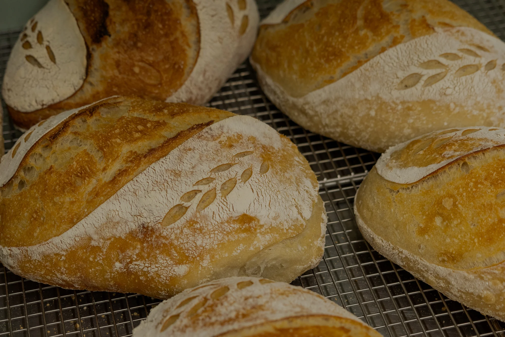 Sourdough Bread