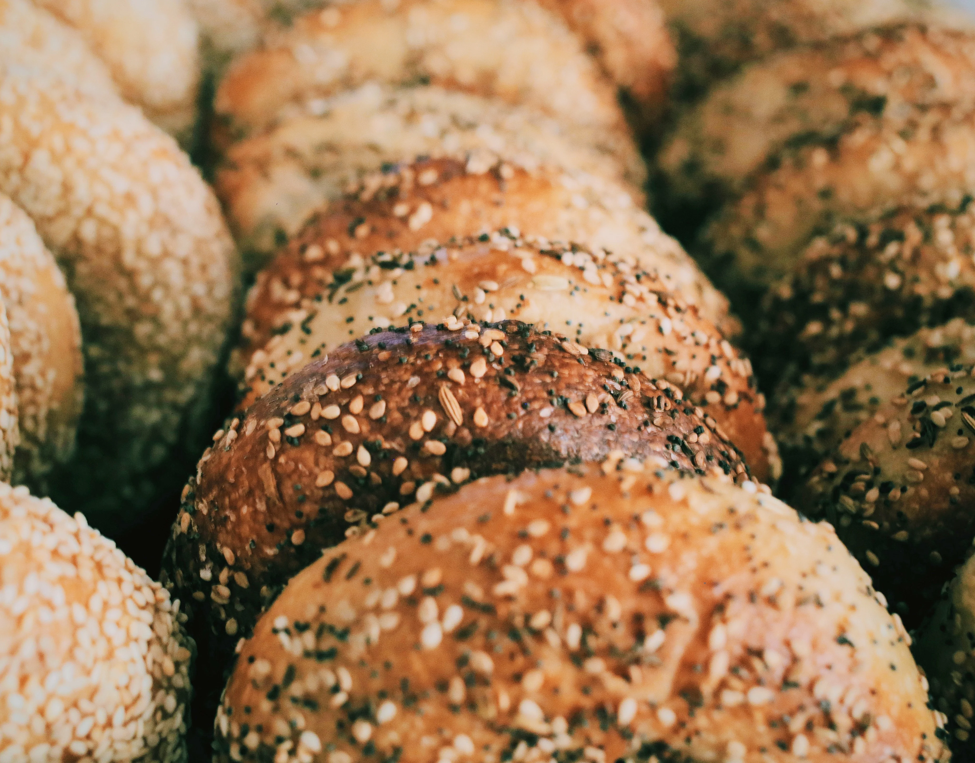 Freshly baked sesame bagels stacked in a bakery