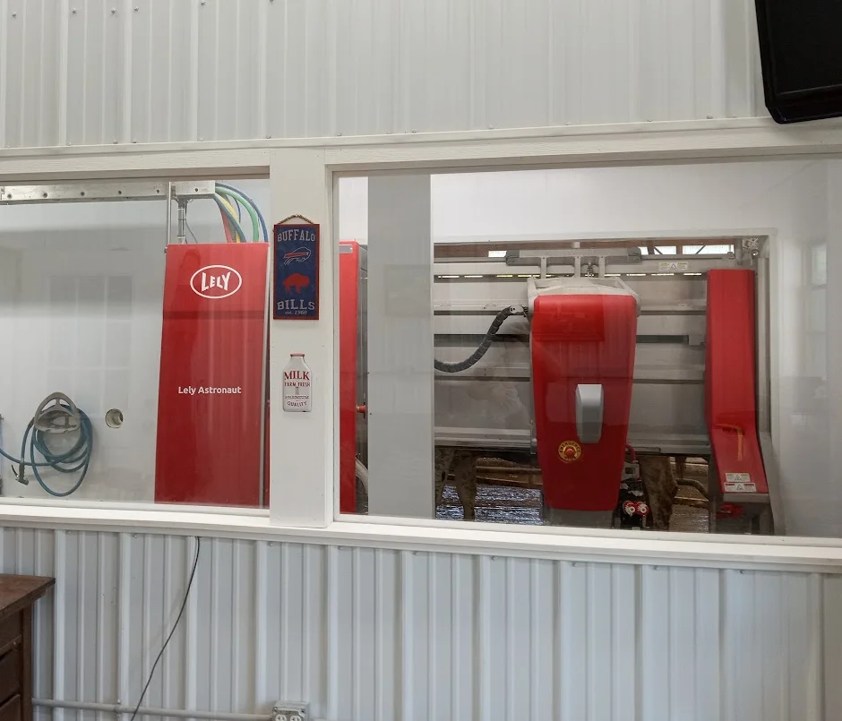 Automated milking system in a dairy farm