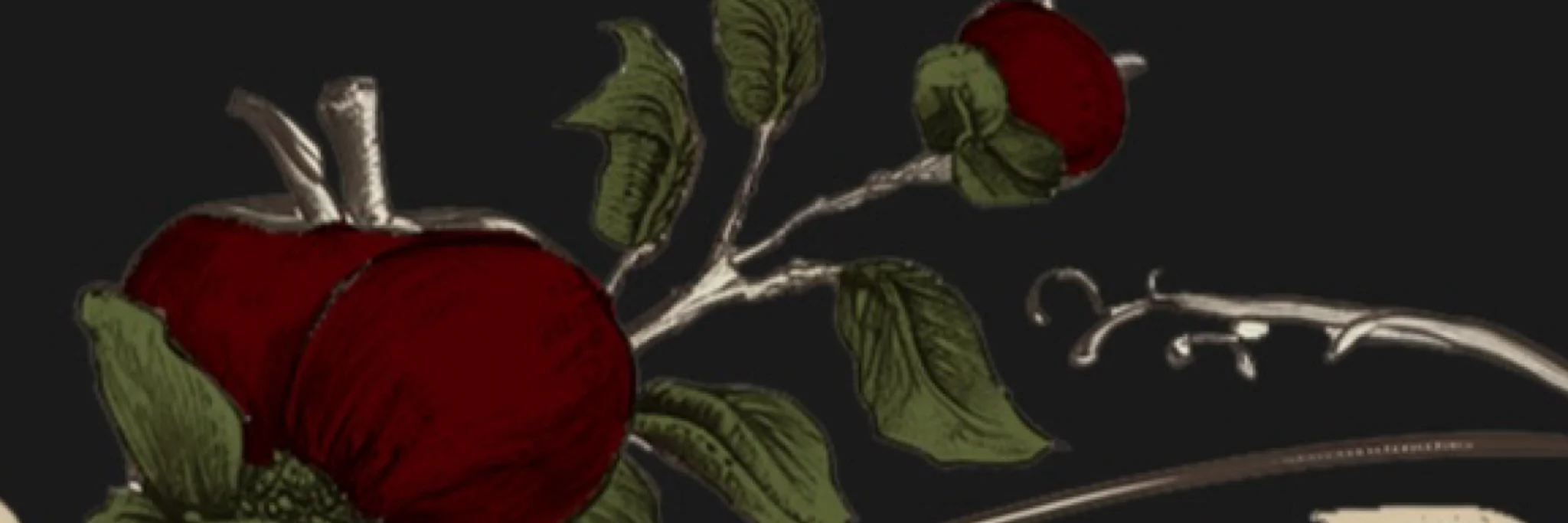 Artistic illustration of red apples with green leaves