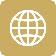 Simple globe icon on a gold background