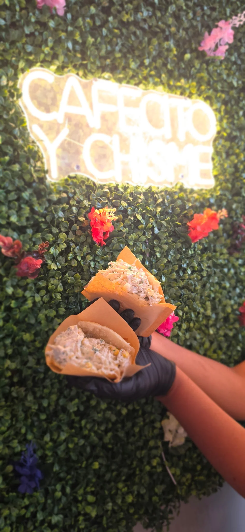 Delicious Mexican tacos with creamy filling served against a vibrant green backdrop