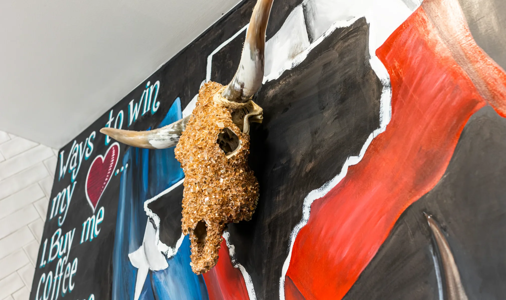 longhorn on wall