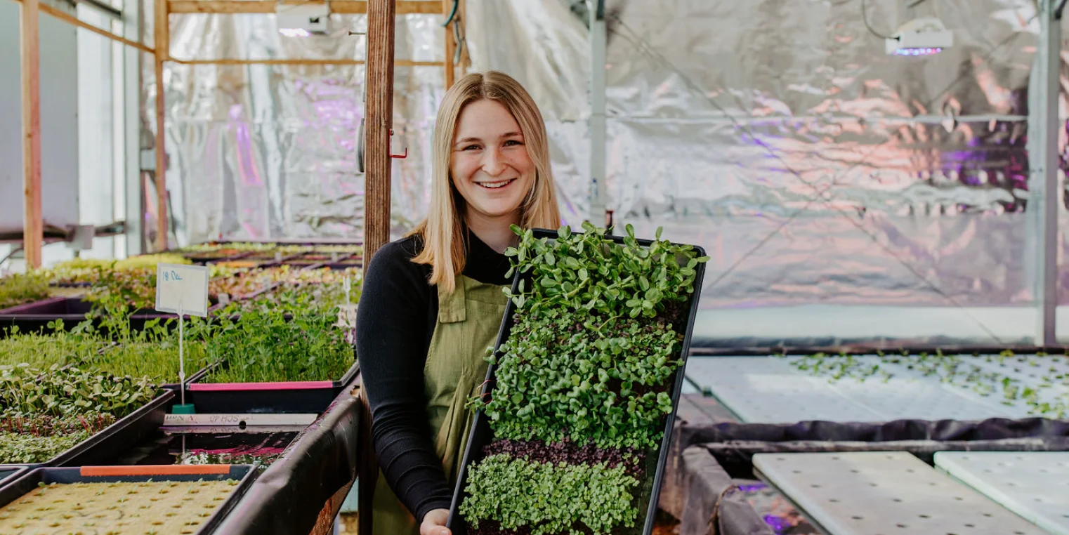 Person holding a young plant seedling in a greenhouse setting