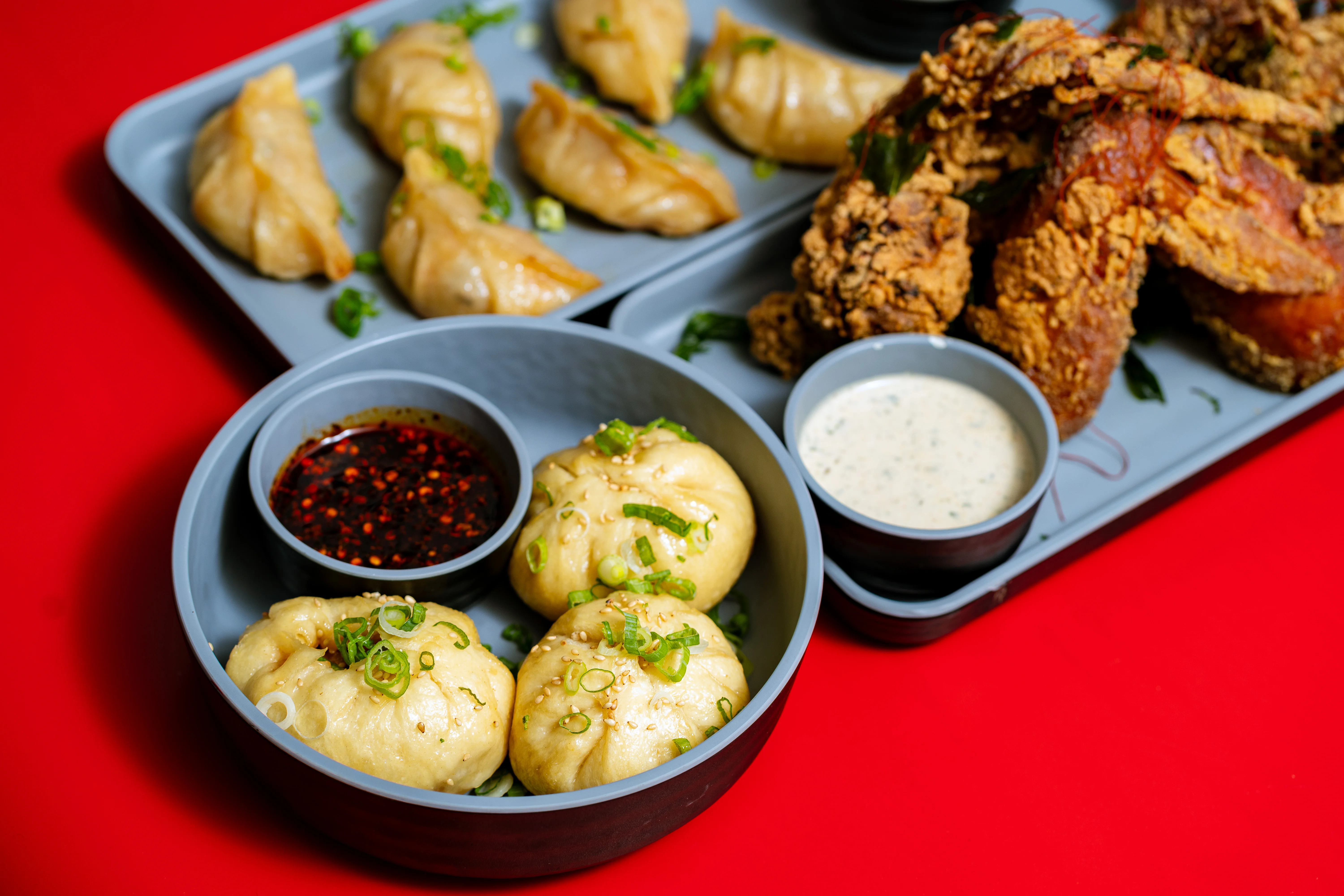 Potstickers, dumplings, and other Chinese food salt lake red shot