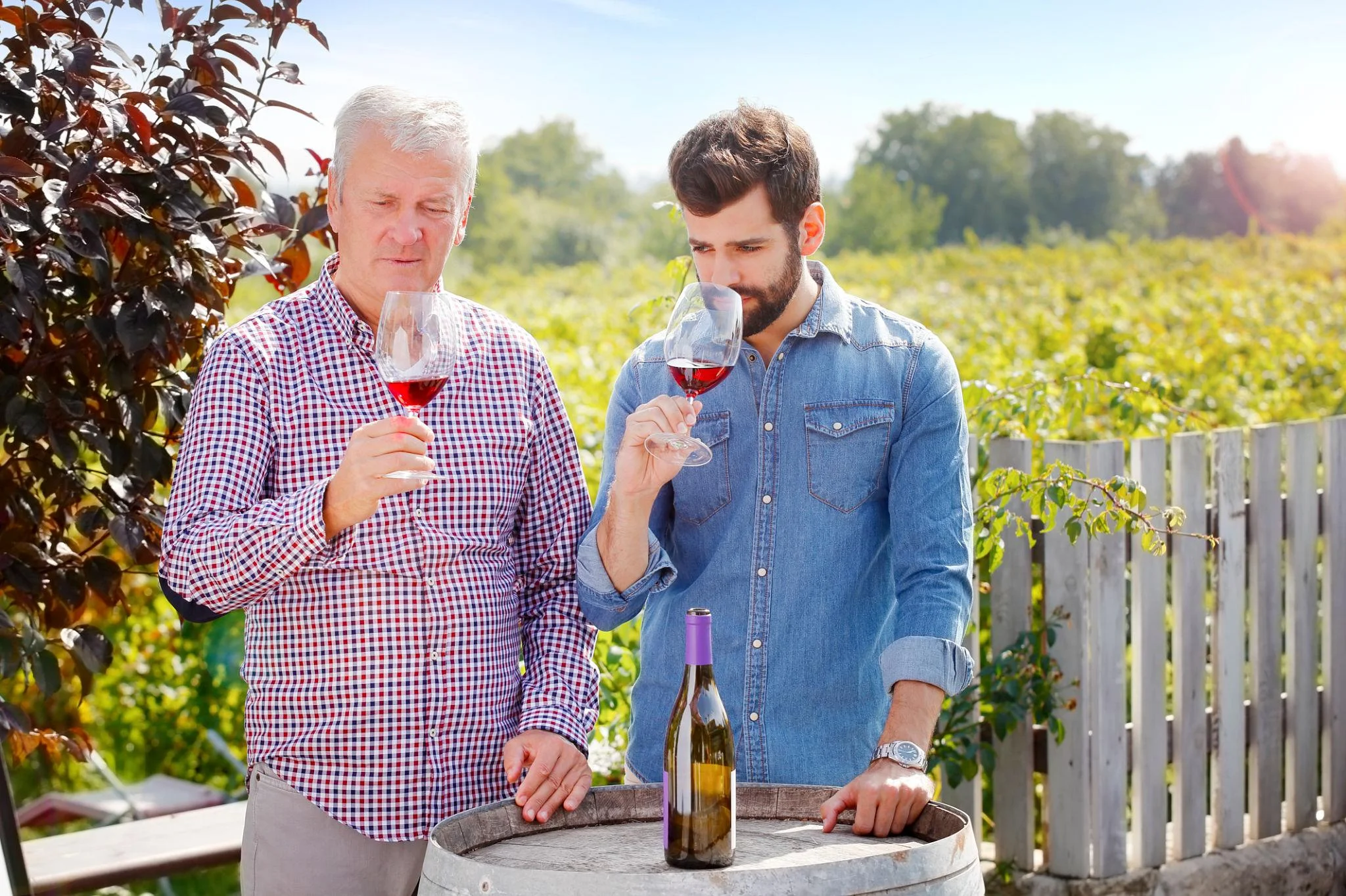 Wine tasting experience in a vineyard