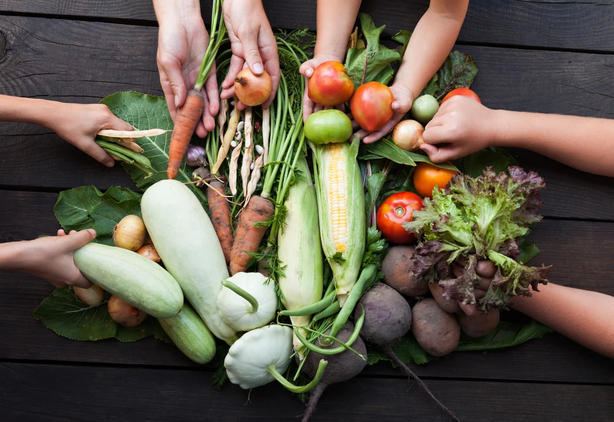 Image of a pile of vegetables - onions, tomatoes, corn, squashes, beets, lettuces