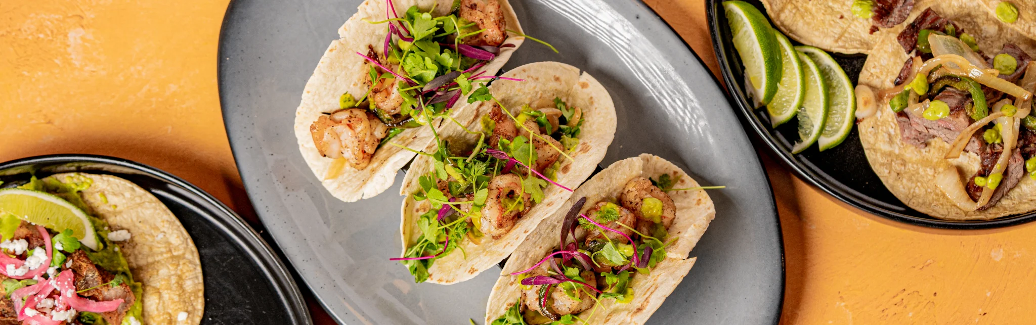 Delicious shrimp tacos served on a plate