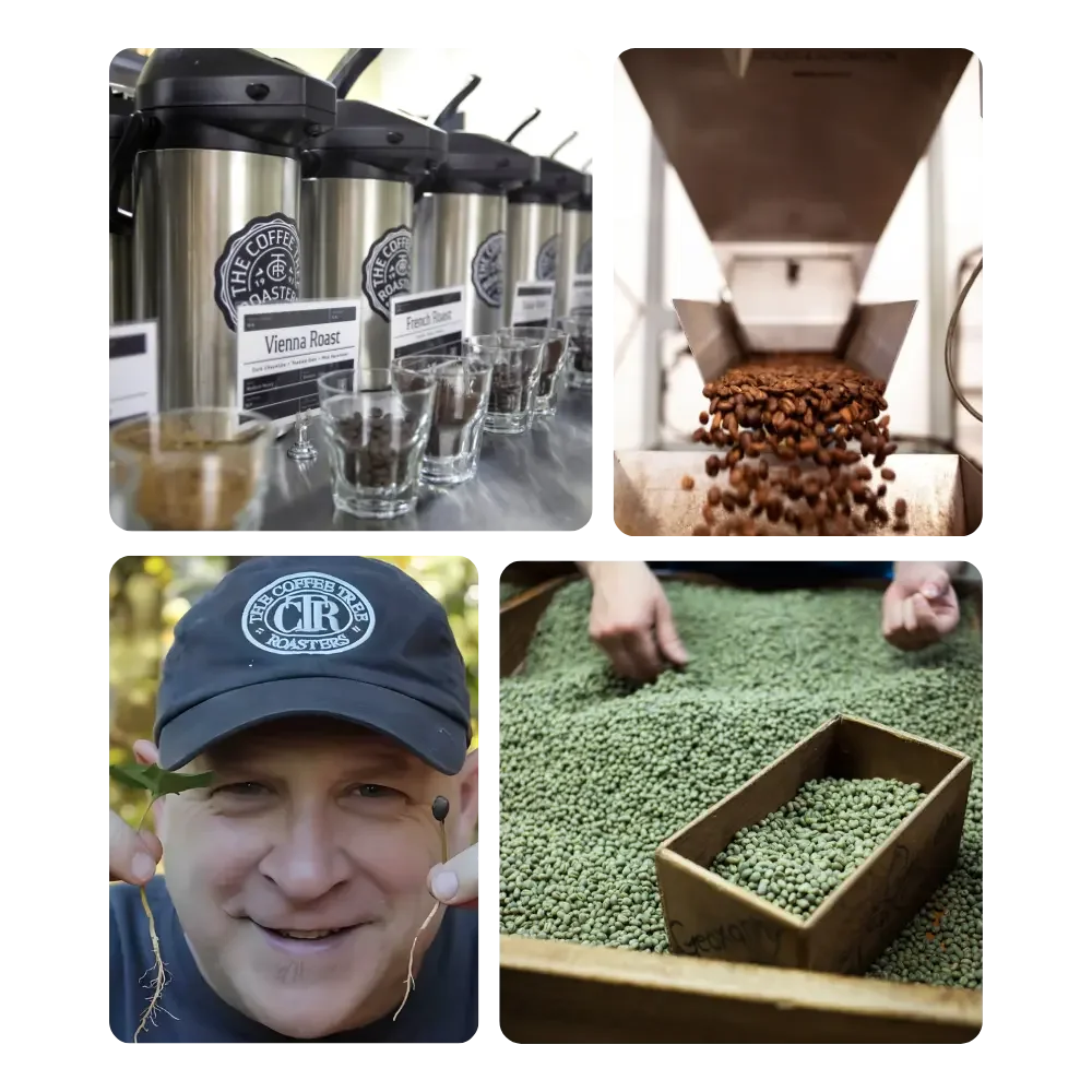 Collage of coffee processes: four coffee dispensers labeled "Vienna Roast," roasted beans pouring from a chute, green coffee beans being sorted, person holding a seedling. Energetic and detailed.