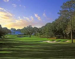 A serene golf course landscape featuring lush green grass, trees, and a clear blue sky at sunset.