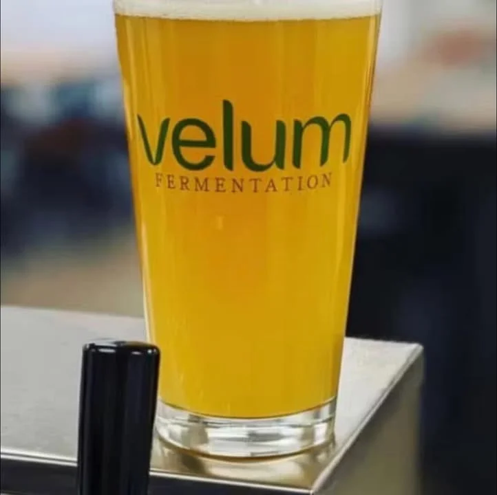 A glass of golden beer with a logo that reads 'velum fermentation'.