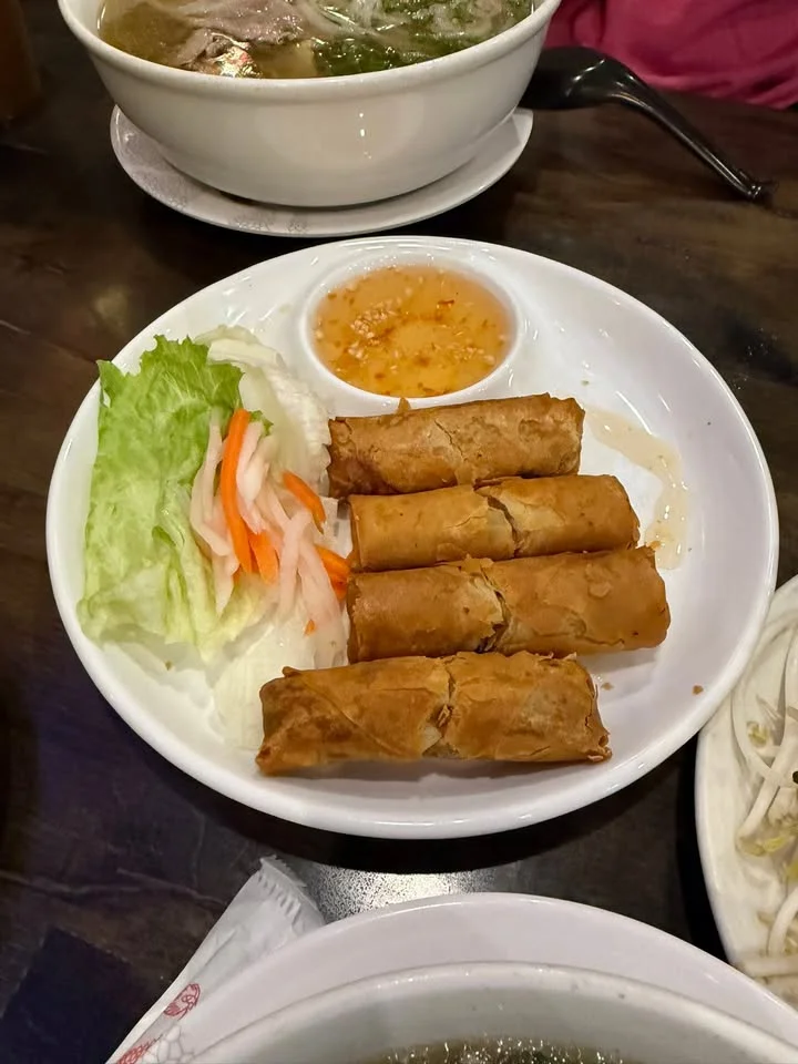 Vietnamese spring rolls with dipping sauce and fresh vegetables