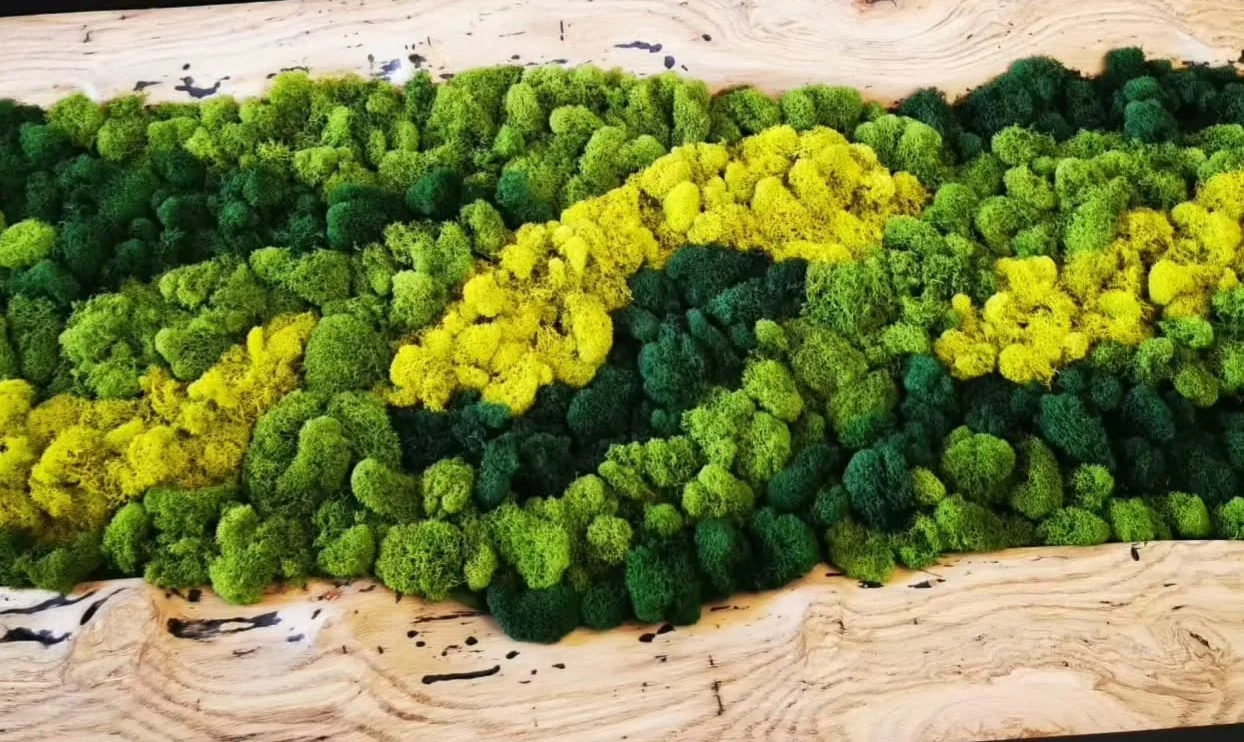 Artistic moss wall decor in vibrant green and yellow hues