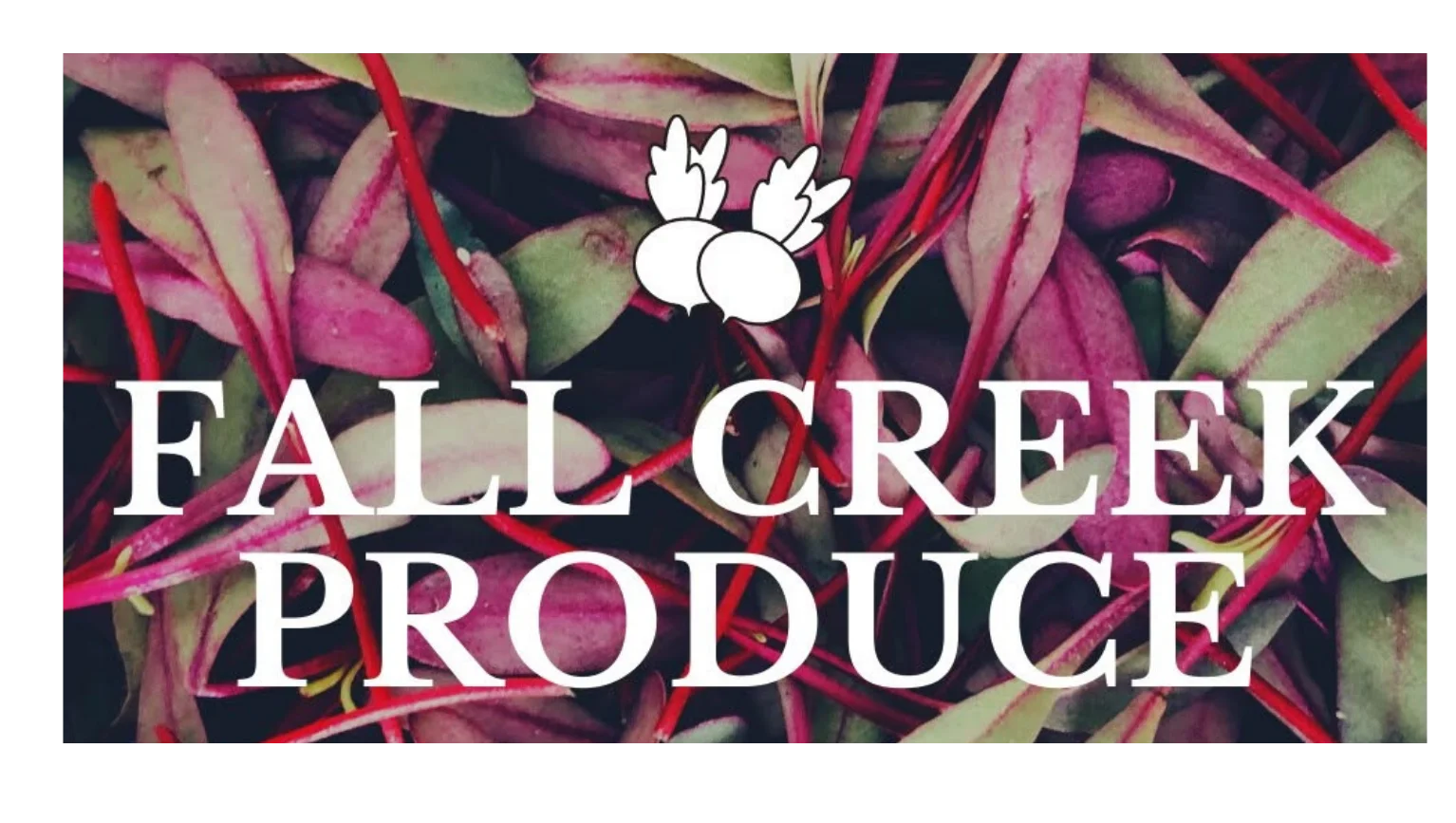 Fresh produce display from Fall Creek Produce